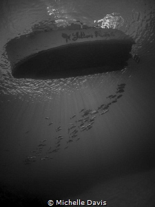 Jacks caught in the sunburst under the boat by Michelle Davis 